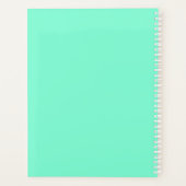 gestreept, neon, geel, roze, turquoise planner (Achterkant)