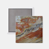 Gestreept versteend hout magneet (Voorkant / Achterkant)