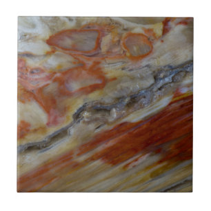 Gestreept versteend hout tegeltje