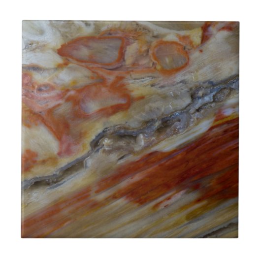 Gestreept versteend hout tegeltje (Voorkant)