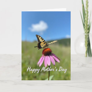 Gestreept Vlinder Bloem Kaart