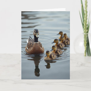 Gestreept Watervogelfamiliekaart Kaart