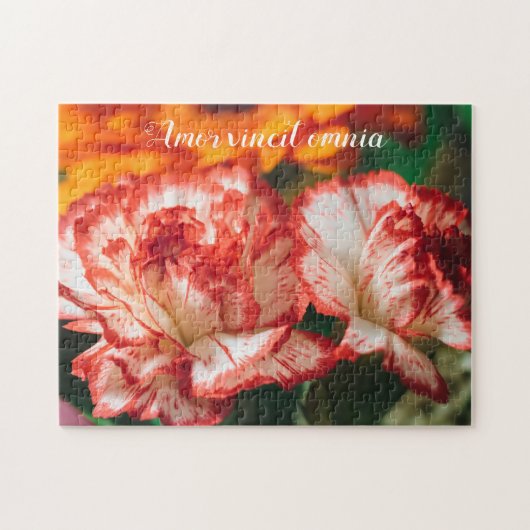 Gestreepte anjers en gerbera legpuzzel (Horizontaal)