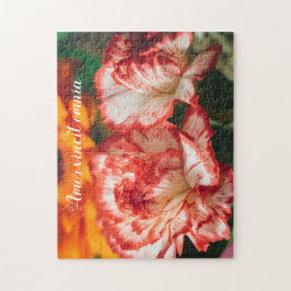 Gestreepte anjers en gerbera legpuzzel