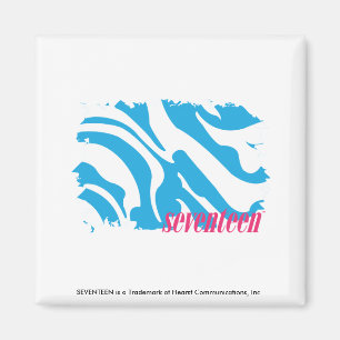 Gestreepte Aqua 4 Magneet