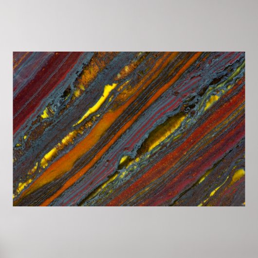 Gestreepte Australische tijgerogen Poster (Voorkant)