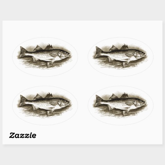 Gestreepte bas Logo () Ovale Sticker (Vel)