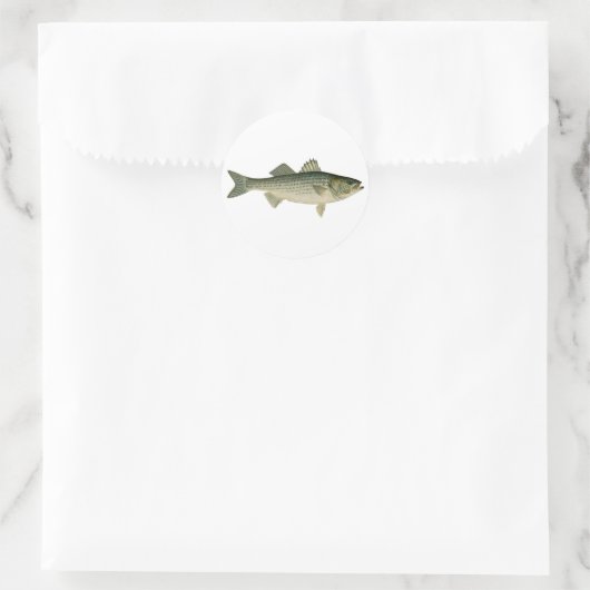 Gestreepte bas Logo Ronde Sticker (Tas)