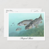 Gestreepte bas schilderij Briefkaart (Voorkant / Achterkant)