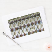 Gestreepte Bass Fish Skin Print Rechthoekige Sticker (Envelop)