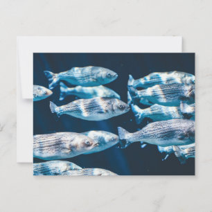 Gestreepte basschool briefkaart