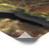 Gestreepte Blenny Poster (Hoek)