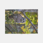 Gestreepte Bosuil in de herfst | Alger County, MI Fleece Deken (Voorkant (Horizontaal))