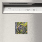Gestreepte Bosuil in de herfst | Alger County, MI Magneet (Insitu (Vaatwasser))