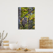 Gestreepte Bosuil in de herfst | Alger County, MI Poster (Keuken)