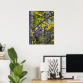 Gestreepte Bosuil in de herfst | Alger County, MI Poster (Thuiskantoor)
