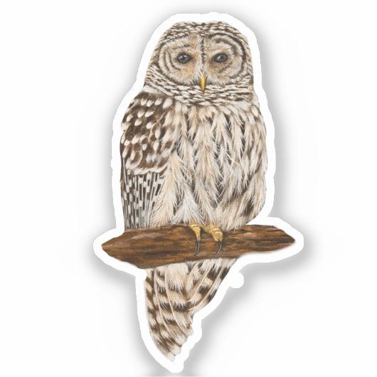 Gestreepte Bosuil Sticker (Voorkant)