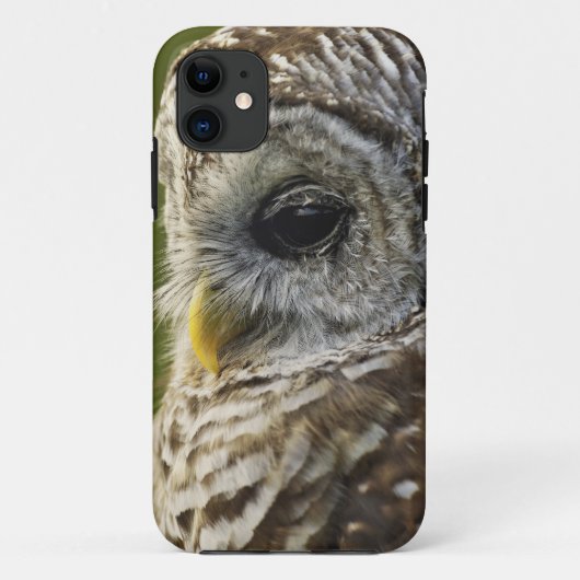 Gestreepte Bosuil, Strix varia, Michigan Case-Mate iPhone Case (Achterkant)