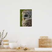 Gestreepte Bosuil, Strix varia, Michigan Poster (Keuken)