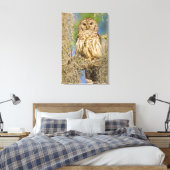Gestreepte bosuil (Strix varia) op een cipres Canvas Afdruk (Insitu (Slaapkamer))