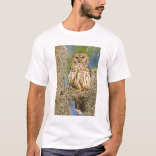 Gestreepte bosuil (Strix varia) op een cipres T-shirt
