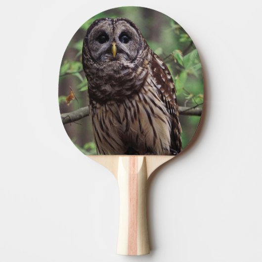 Gestreepte bosuil tafeltennisbatje (Voorkant)