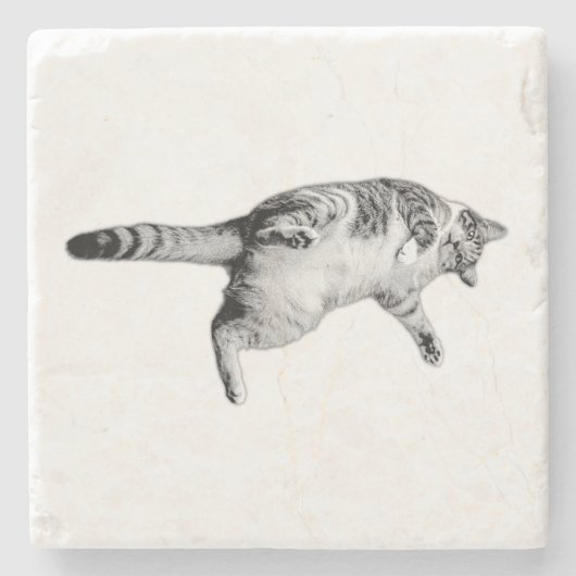 Gestreepte charme voor de tafel stenen onderzetter (Voorkant)