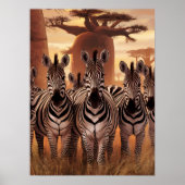 Gestreepte eenheid: Zebra's die samen staan Poster (Voorkant)