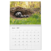 Gestreepte en Gevlekte Stinkdieren Kalender (Mar 2027)
