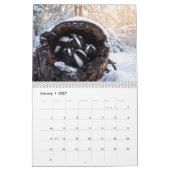Gestreepte en Gevlekte Stinkdieren Kalender (Jan 2027)