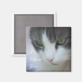 Gestreepte-en-witte kat staart magneet (Voorkant / Achterkant)