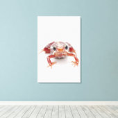 gestreepte gifkikker (epipedobates) canvas afdruk (Insitu (Houten vloer))