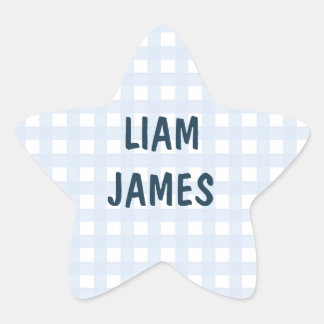 Gestreepte Gingham Baby Jongen Envelope Sticker
