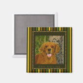 Gestreepte Golden Retriever Magnet AZGRC (Voorkant / Achterkant)