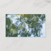 Gestreepte Hairstreak-Visitekaartje Visitekaartje (Achterkant)