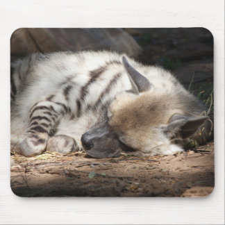 gestreepte hyena muismat