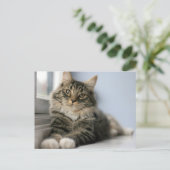 Gestreepte kat bij een raam briefkaart (Staand voorkant)