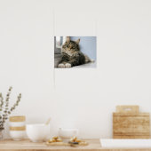 Gestreepte kat bij een raam poster (Keuken)