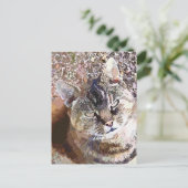 GESTREEPTE KAT BRIEFKAART (Staand voorkant)
