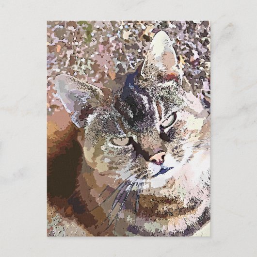 GESTREEPTE KAT BRIEFKAART (Voorkant)