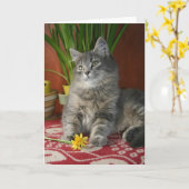 Gestreepte kat & Gele narcissen Notecard Kaart (Gele Bloem)