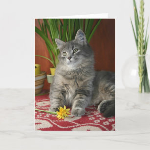 Gestreepte kat & Gele narcissen Notecard Kaart