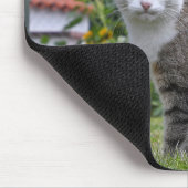 gestreepte kat in tuin muismat (Hoek)