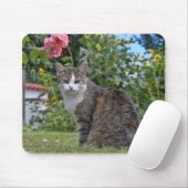 gestreepte kat in tuin muismat (Met muis)