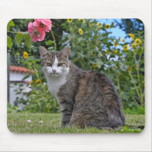 gestreepte kat in tuin muismat