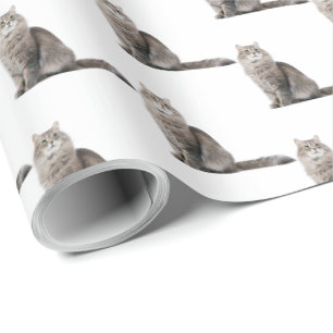gestreepte kat kat cadeaupapier