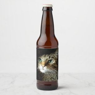 Gestreepte kat met groene ogen, geïsoleerd op zwar bier etiket