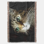 Gestreepte kat met groene ogen, geïsoleerd op zwar deken (Voorkant Verticaal)