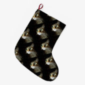 Gestreepte kat met groene ogen, geïsoleerd op zwar grote kerstsok (Voorkant (Hangend))