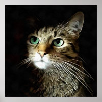 Gestreepte kat met groene ogen, geïsoleerd op zwar